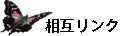 �R�[�X�̂��ē�