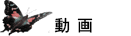 R[X̂ē